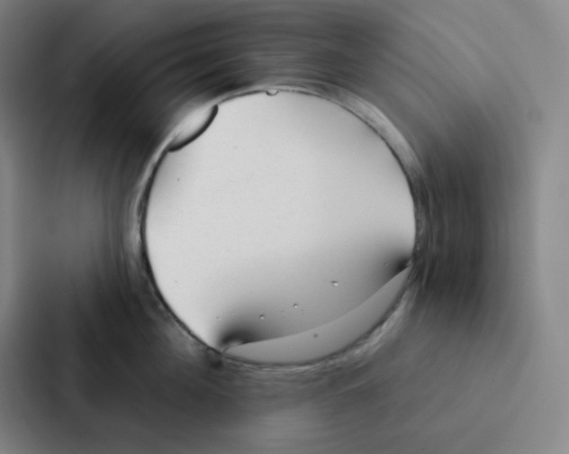 X0000086950908200705141819