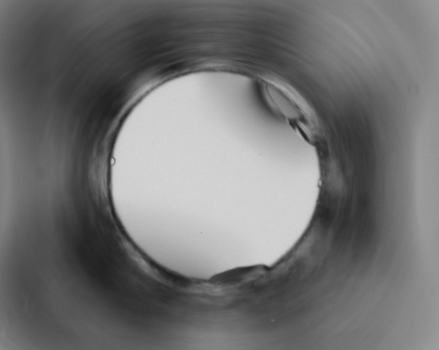 X0000086950910200705141819