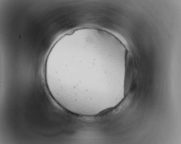 X0000086950911200705141819