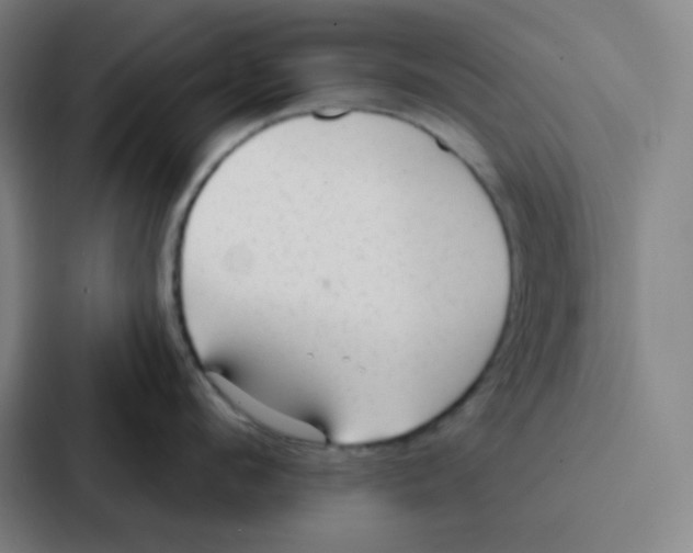 X0000086950912200705141819