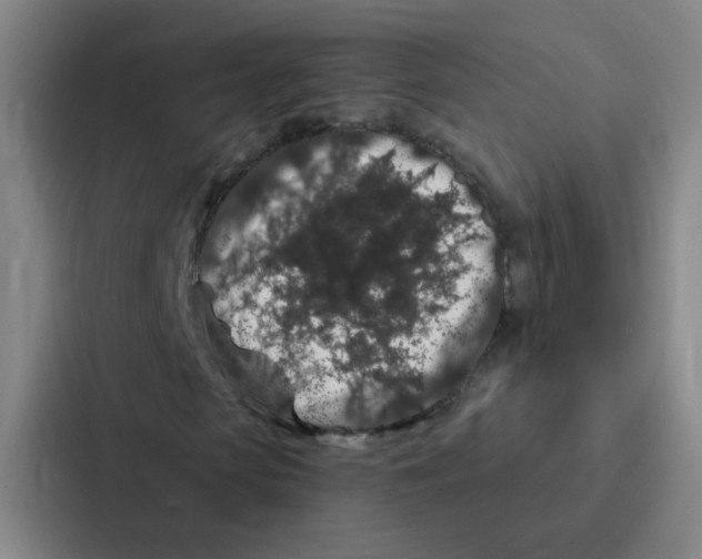 X0000086950913200705141819