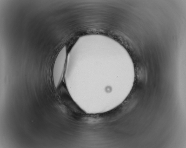 X0000086950915200705141819