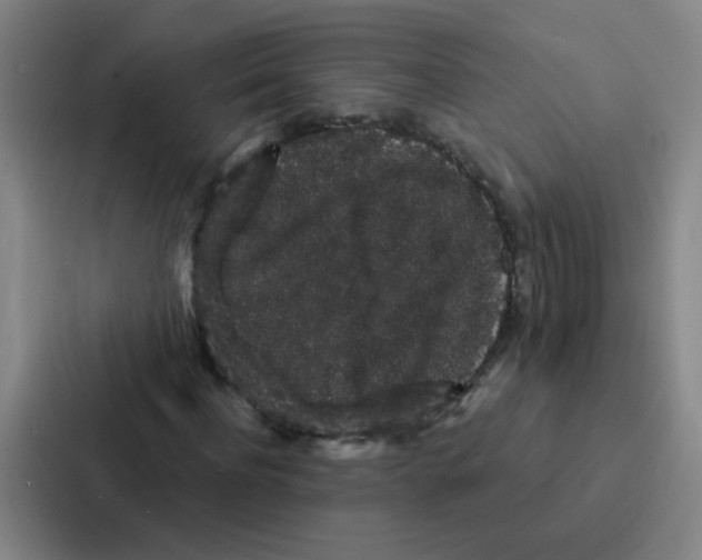 X0000086950916200705141819