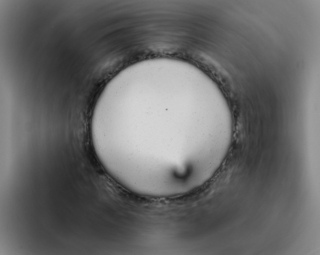 X0000086950917200705141819