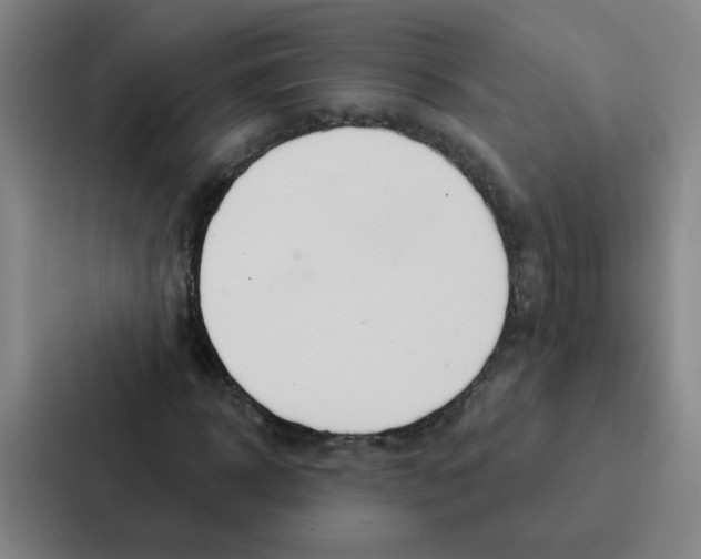 X0000086950918200705141819