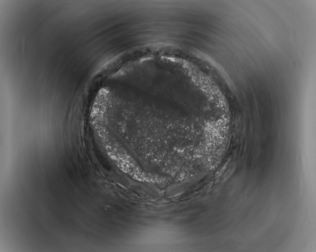 X0000086950919200705141819