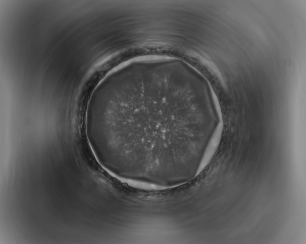 X0000086950920200705141819