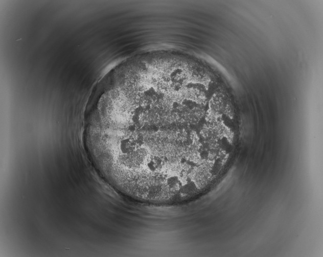 X0000086950921200705141819