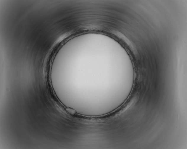 X0000086950922200705141819