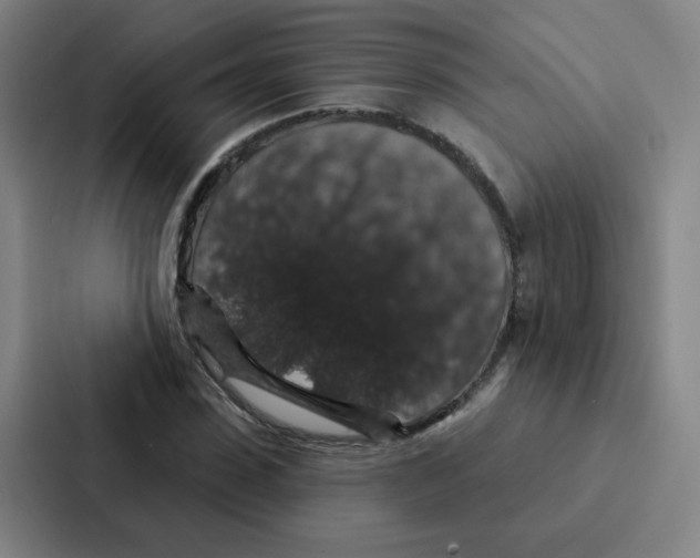 X0000086950923200705141819