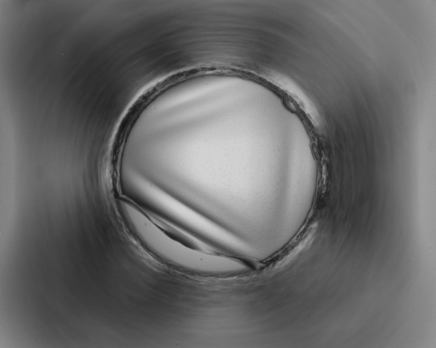 X0000086950924200705141819