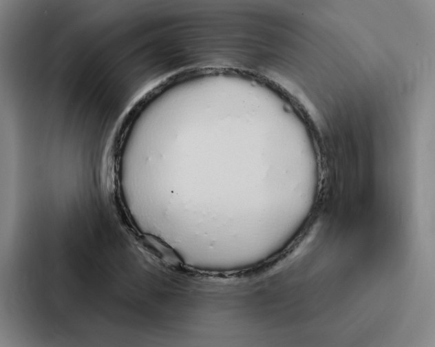 X0000086950925200705141819