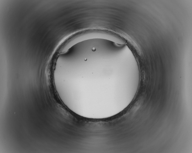 X0000086950926200705141819