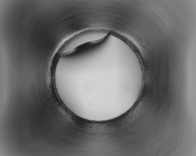 X0000086950927200705141819