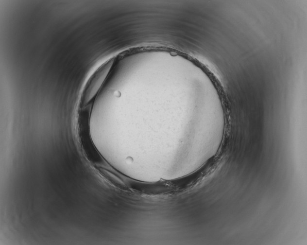 X0000086950928200705141819