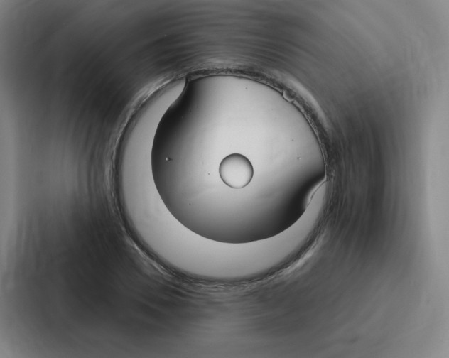 X0000086950930200705141819