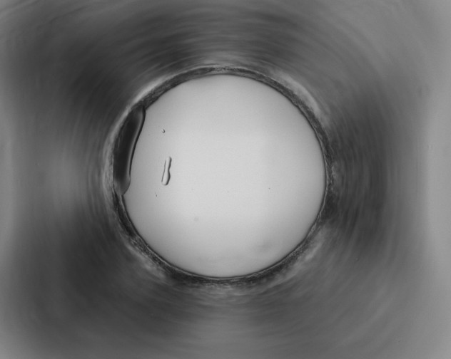 X0000086950931200705141819