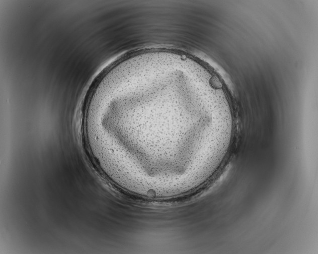 X0000086950933200705141819