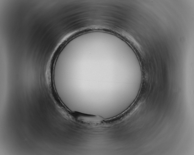 X0000086950934200705141819