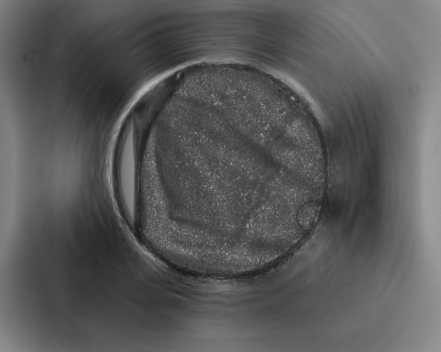 X0000086950935200705141819