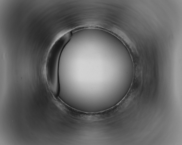 X0000086950936200705141819