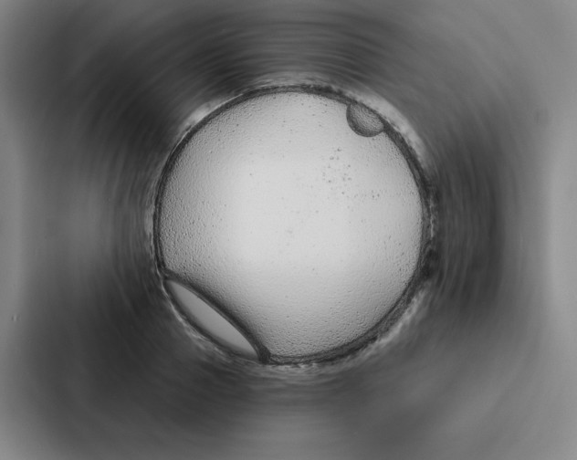 X0000086950937200705141819