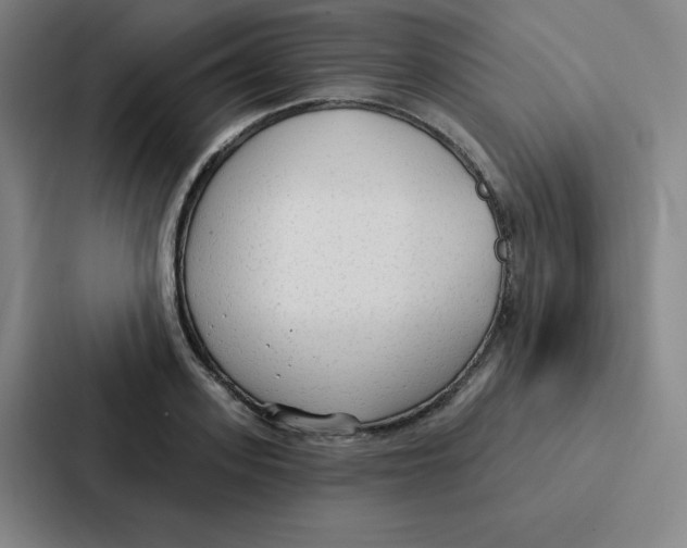 X0000086950939200705141819