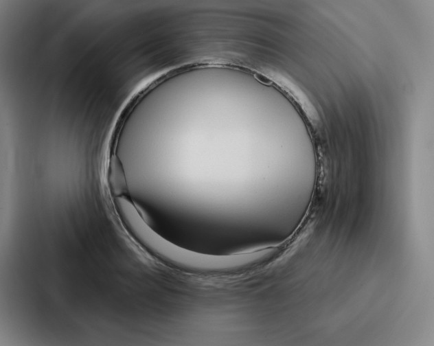 X0000086950940200705141819