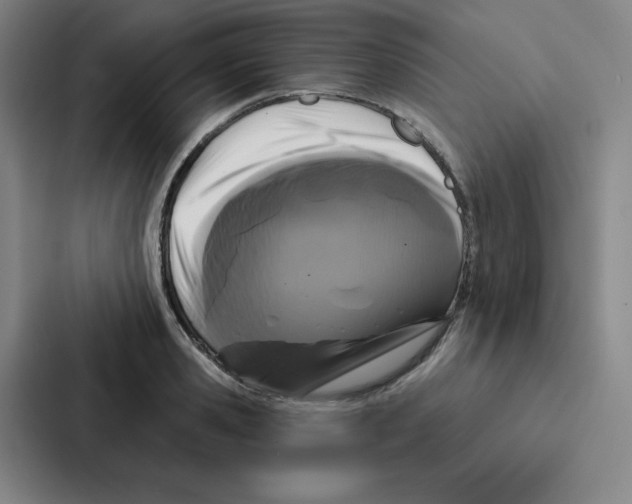 X0000086950941200705141819