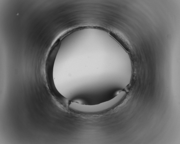 X0000086950942200705141819