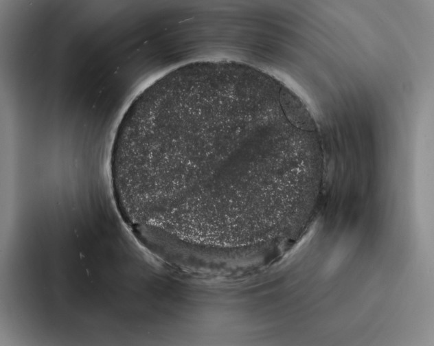 X0000086950943200705141819