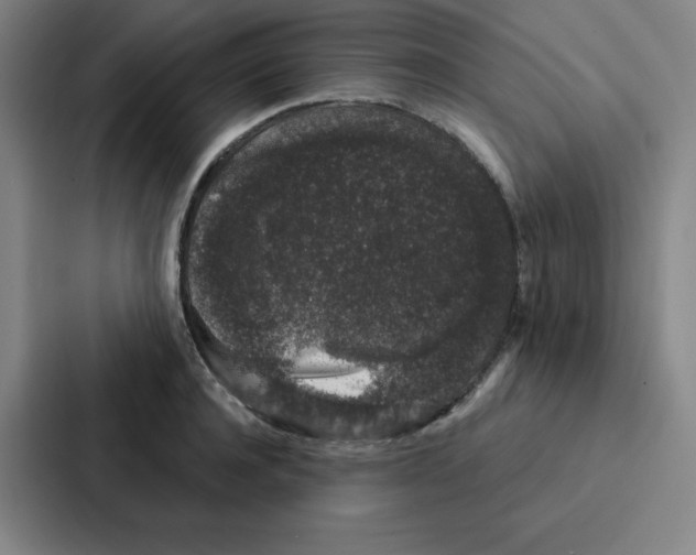 X0000086950944200705141819