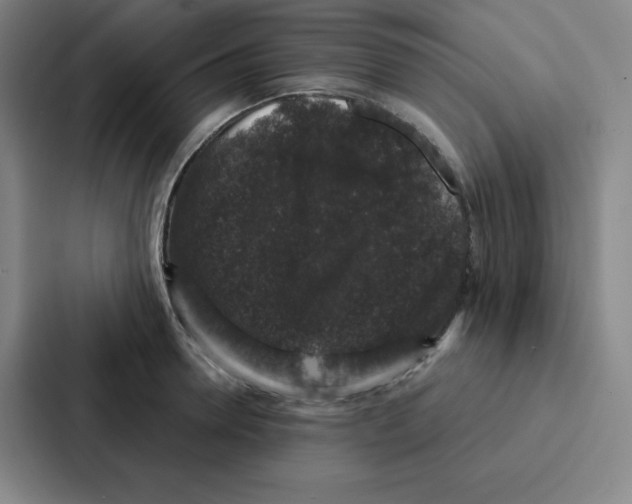 X0000086950946200705141819