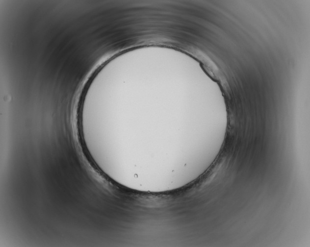 X0000086950947200705141819