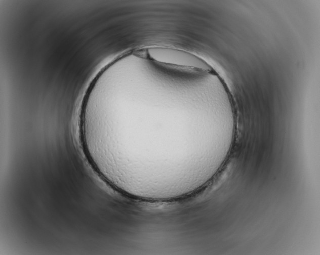 X0000086950949200705141819