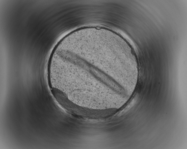 X0000086950951200705141819