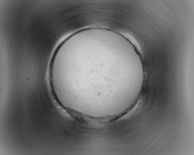 X0000086950952200705141819