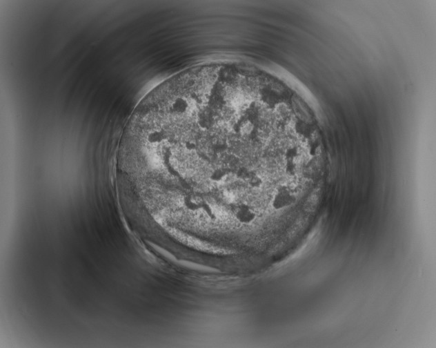 X0000086950953200705141819