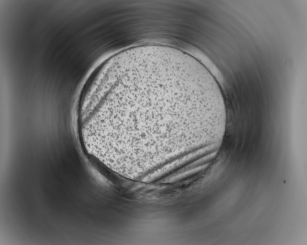 X0000086950955200705141819