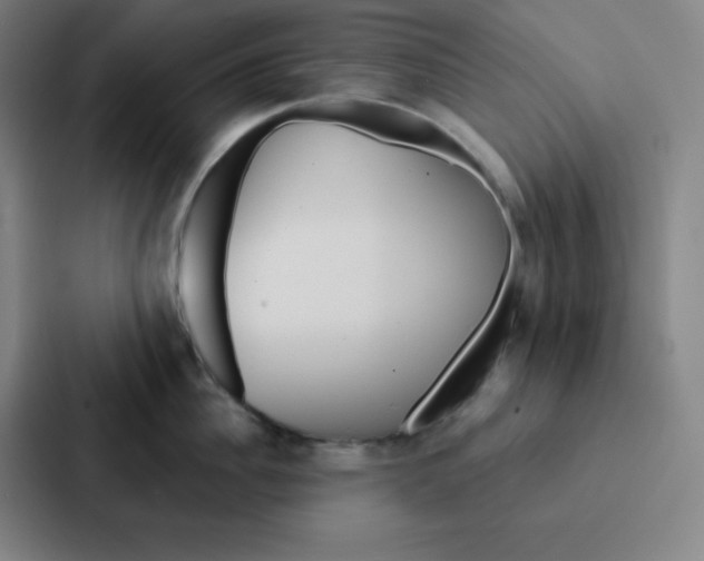 X0000086950956200705141819