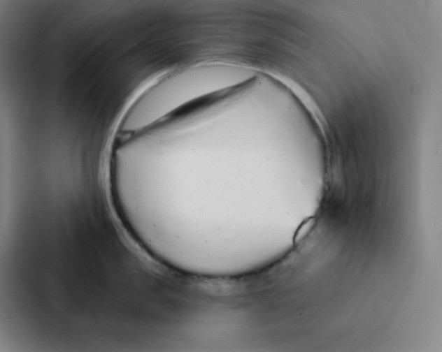 X0000086950957200705141819