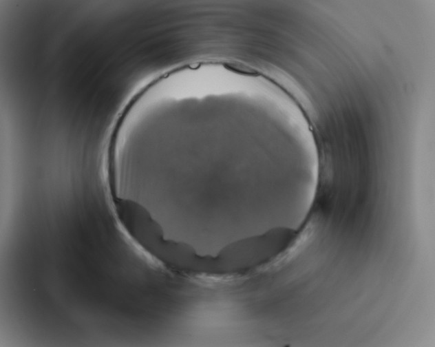 X0000086950958200705141819