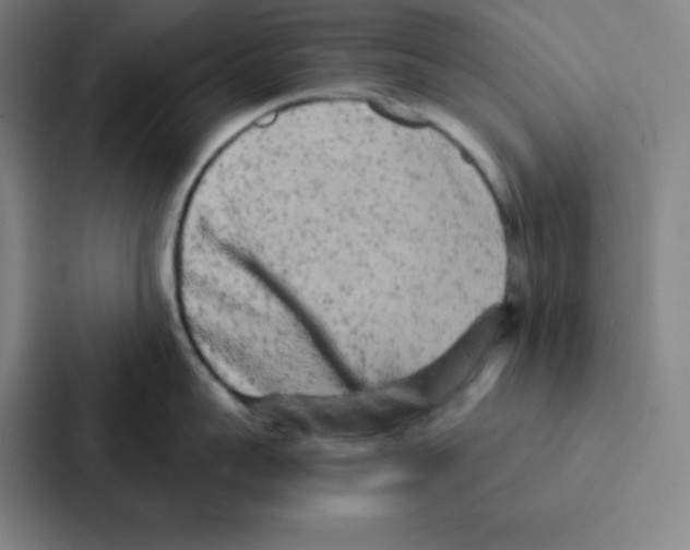 X0000086950959200705141819