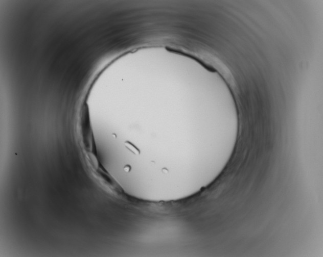 X0000086950960200705141819