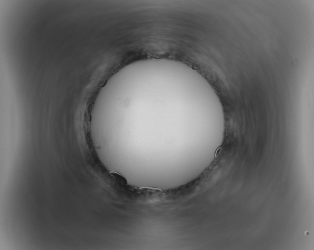 X0000086950961200705141819