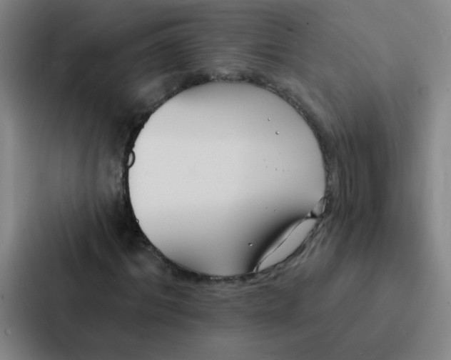 X0000086950964200705141819