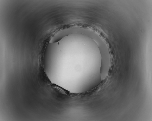 X0000086950965200705141819