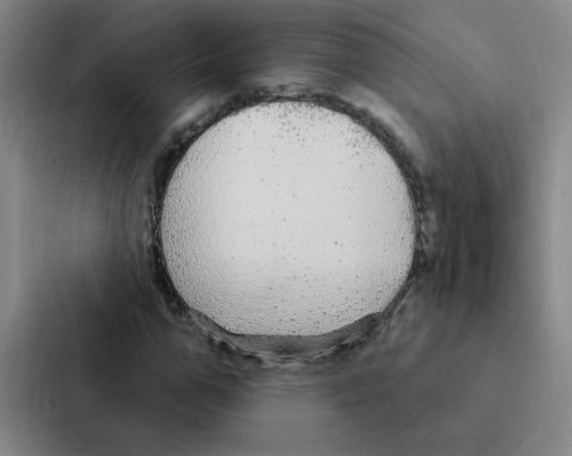 X0000086950967200705141819