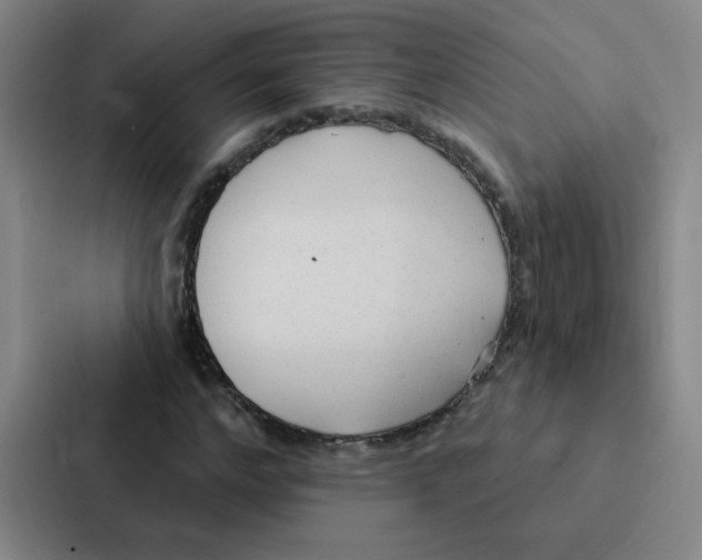 X0000086950968200705141819