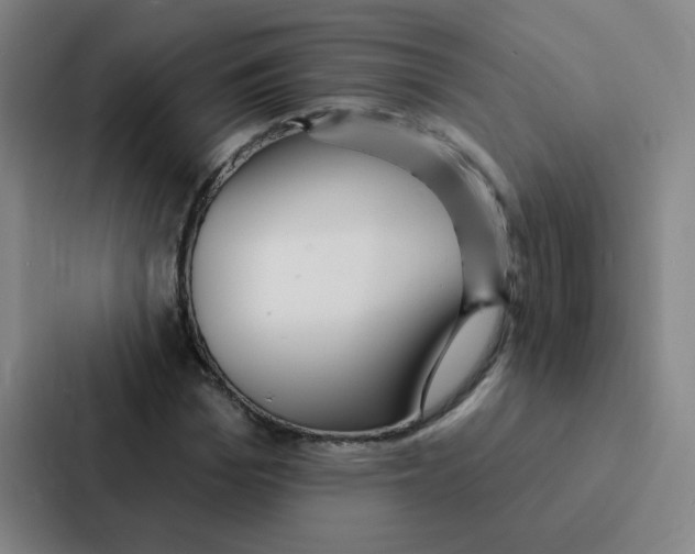 X0000086950969200705141819